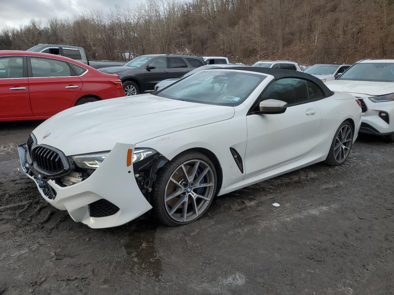 2019 BMW M8 - Image 1
