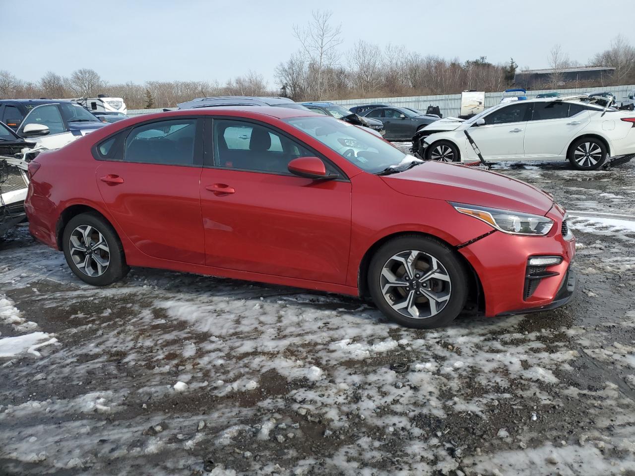 2019 Kia Forte - Image 4