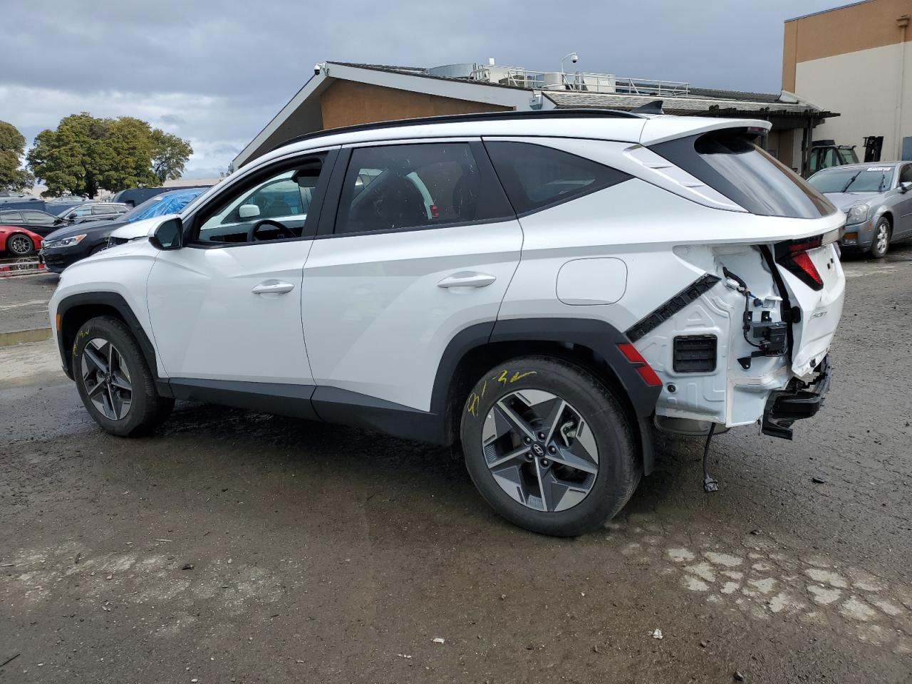 2025 Hyundai Tucson Sel VIN: 5NMJBCDE2SH443940 Lot: 44450665