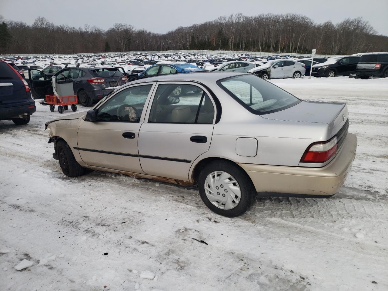 1996 Toyota Corolla - Image 2