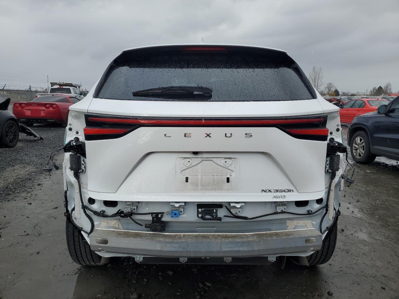 2023 Lexus NX - Image 6