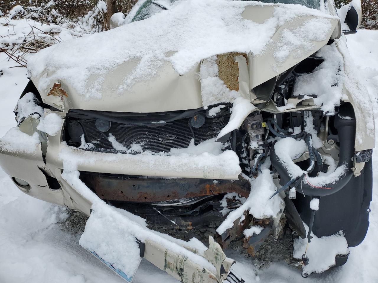 2008 Toyota Rav4 Limited VIN: JTMBD31V986081954 Lot: 88499245