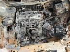 2009 Honda Accord Lx იყიდება Houston-ში, TX - Burn