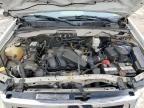 Lawrenceburg, KY에서 판매 중인 2008 Ford Escape Xlt - All Over