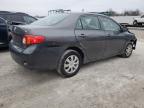 2010 Toyota Corolla Base de vânzare în Walton, KY - Front End
