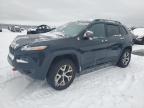 2017 Jeep Cherokee Trailhawk na sprzedaż w Elmsdale, NS - Front End