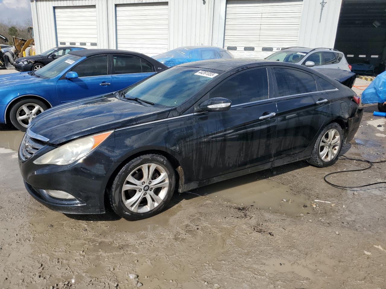 2011 Hyundai Sonata - Image 1