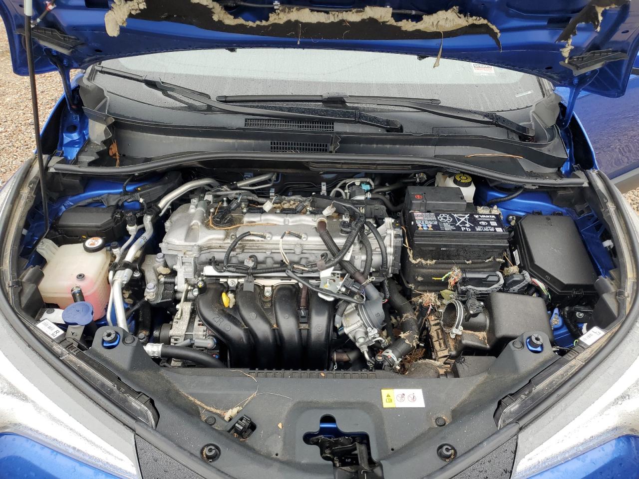 2019 Toyota C-HR - Image 12