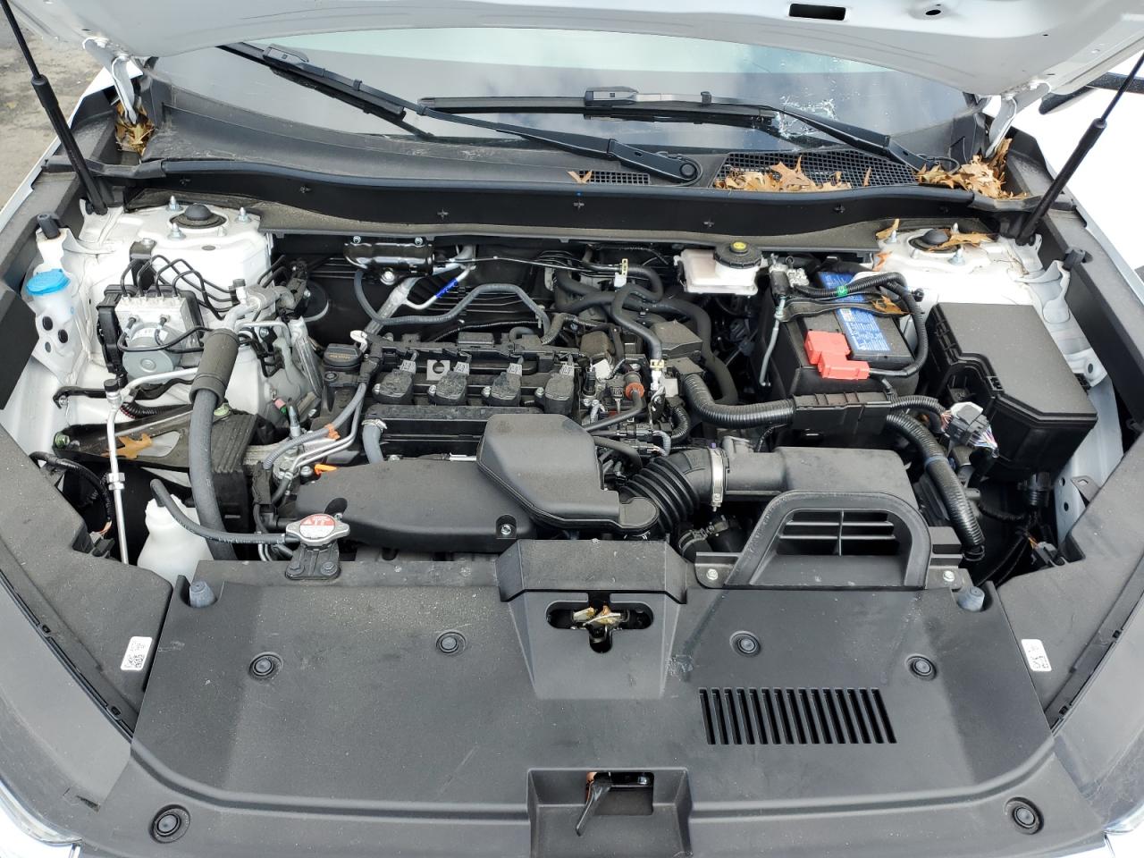 2024 Honda CR-V - Image 12