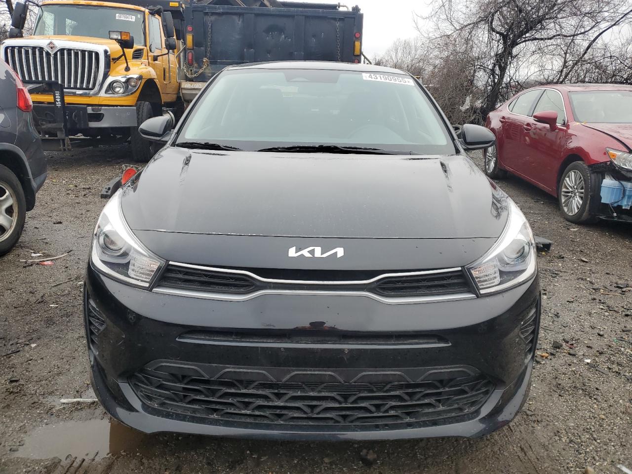 2023 Kia Rio - Image 5