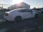 2019 Ford Mustang  for Sale in Cicero, IN - Front End