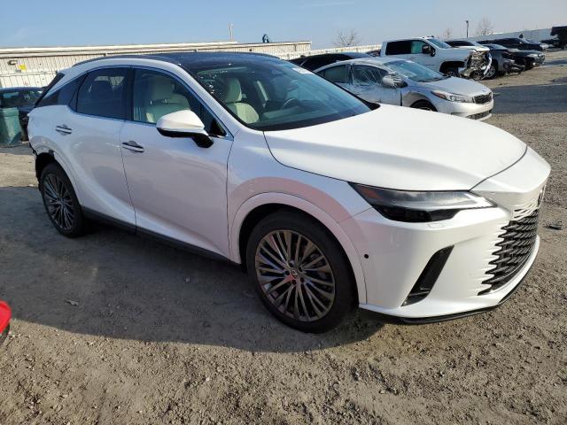  LEXUS RX350 2024 White
