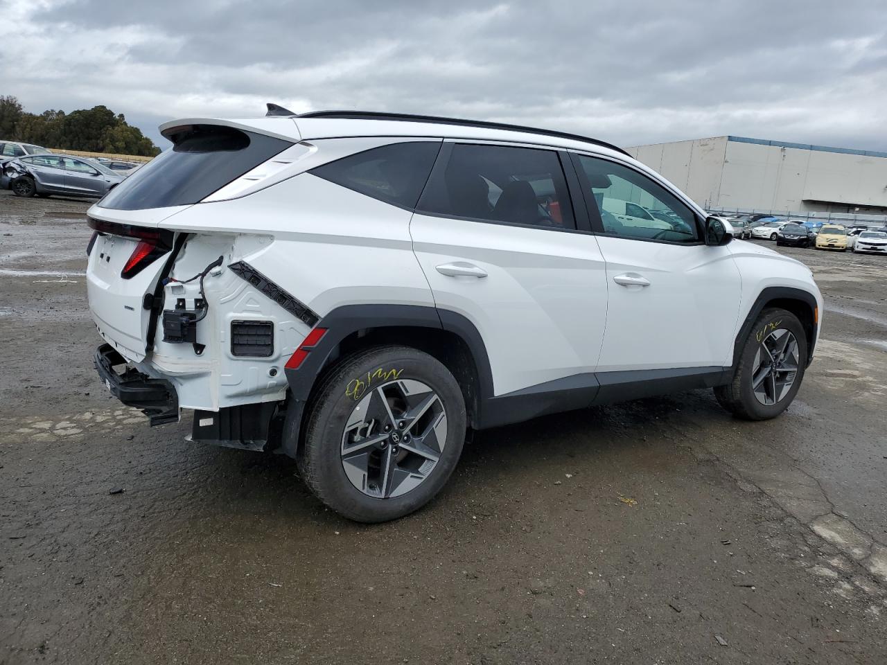 2025 Hyundai Tucson Sel VIN: 5NMJBCDE2SH443940 Lot: 44450665