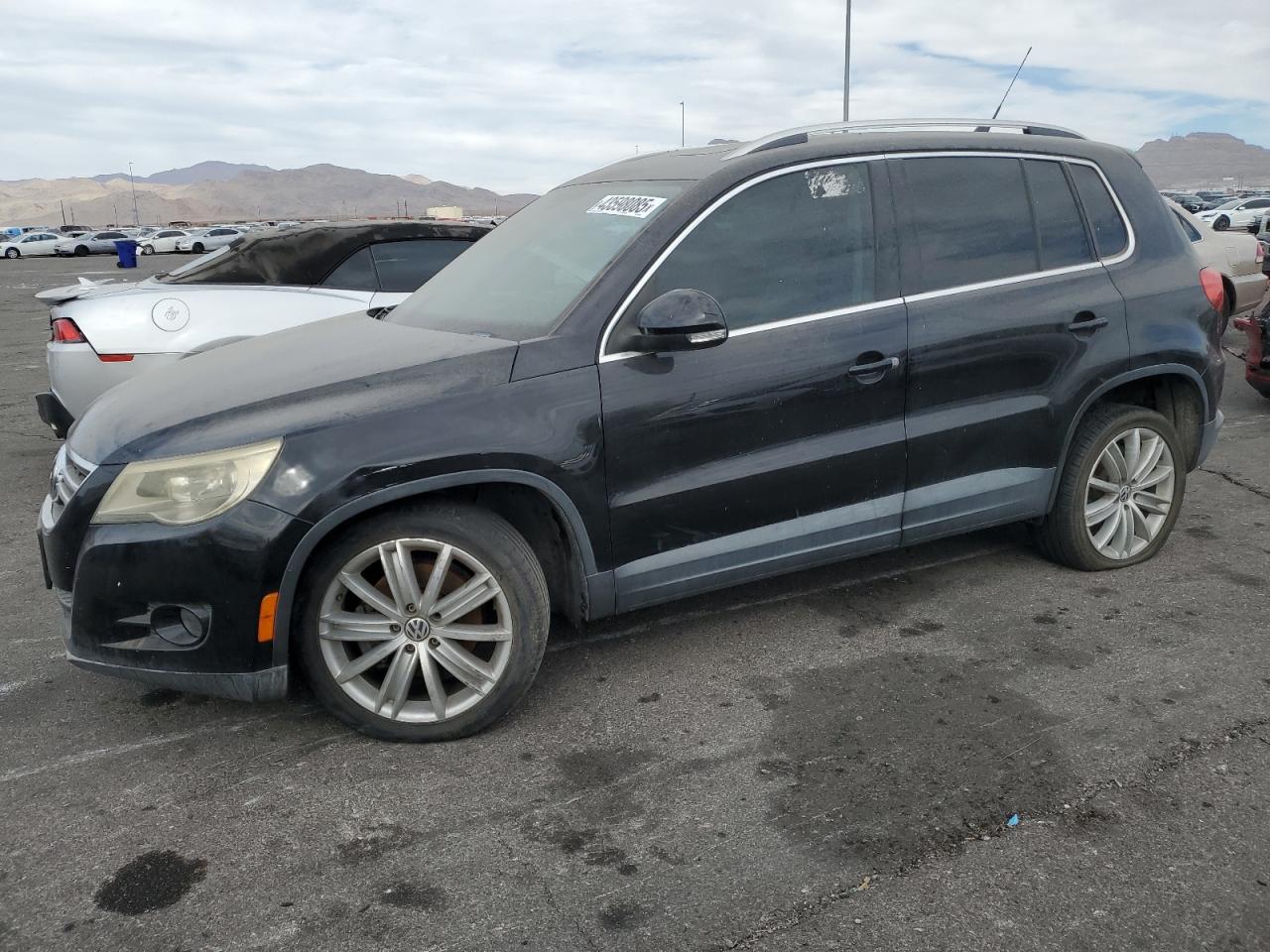 2010 Volkswagen Tiguan - Image 1