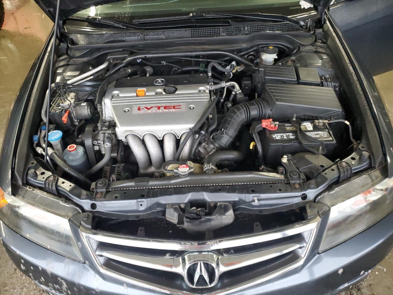 2006 Acura Tsx VIN: JH4CL96996C030263 Lot: 44953885