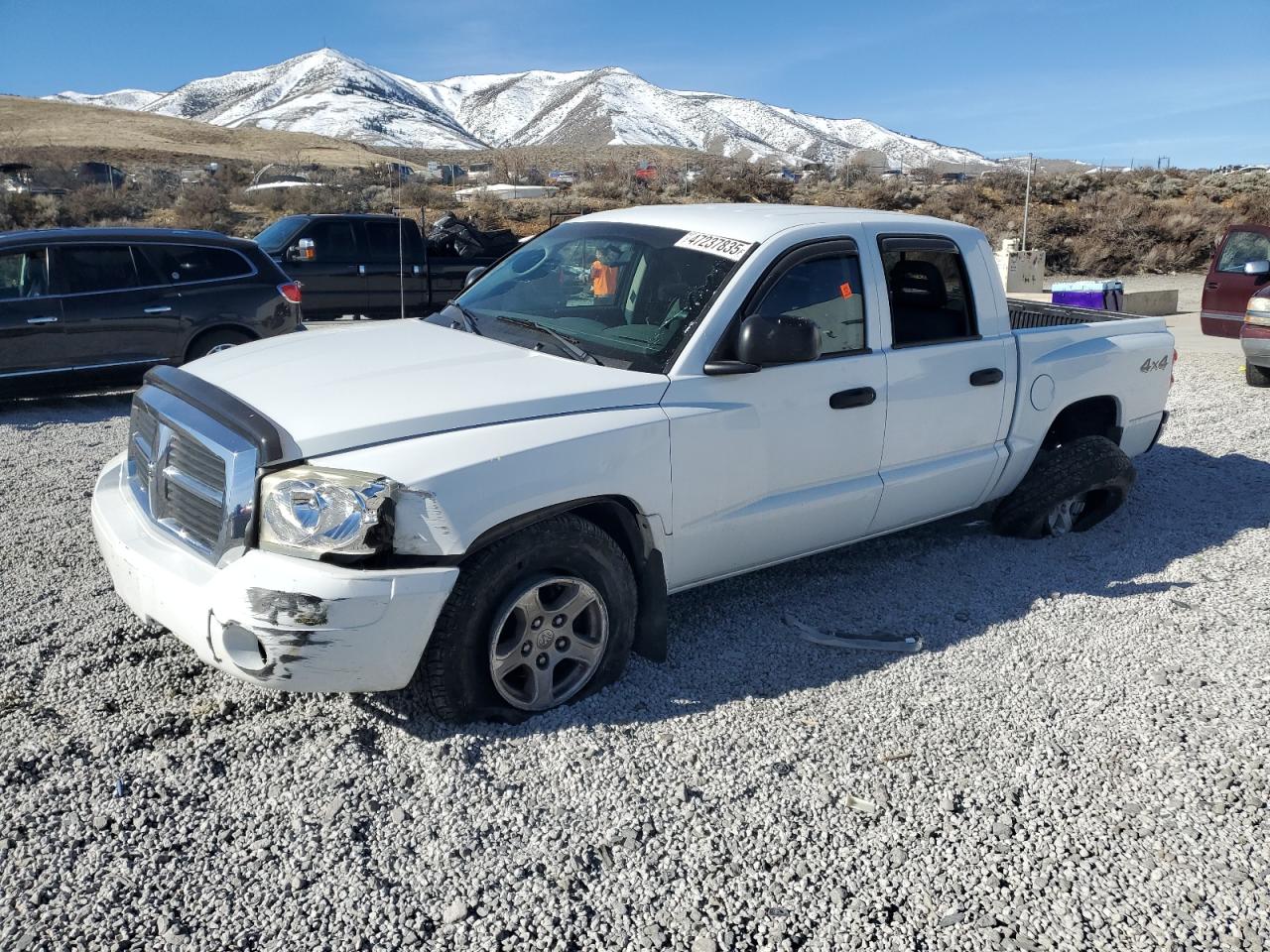 2006 Dodge Dakota Quad Slt de vânzare în Reno, NV - Front End