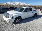 2006 Dodge Dakota Quad Slt   de vânzare în Reno, NV - Front End