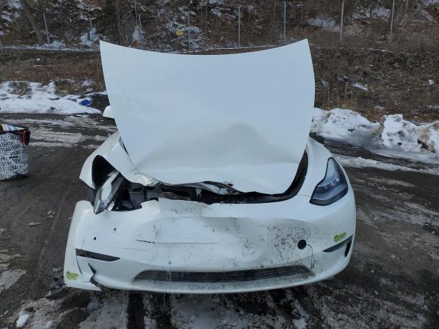  TESLA MODEL Y 2021 White