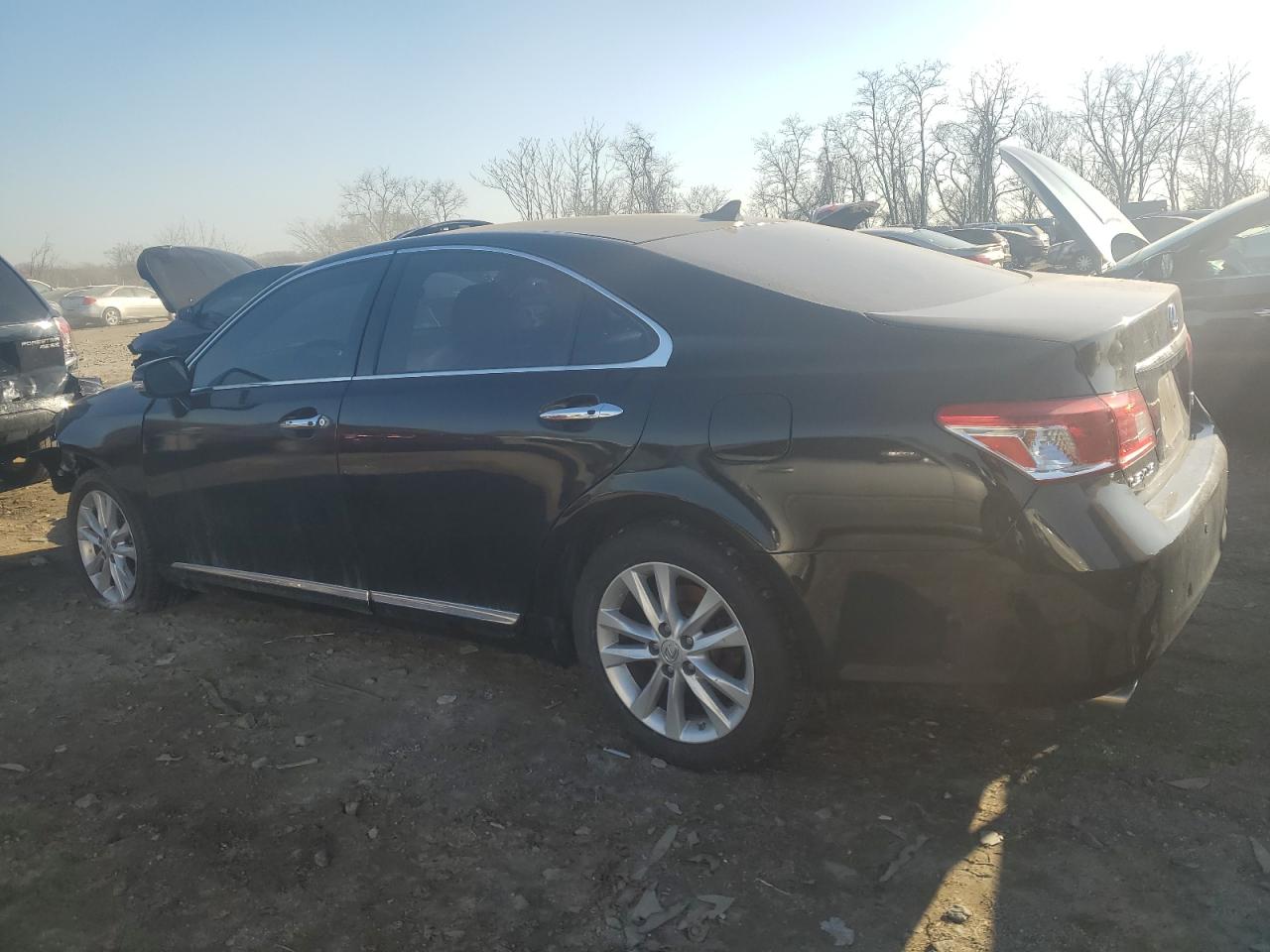 2010 Lexus ES - Image 2