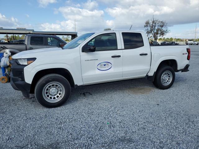  CHEVROLET COLORADO 2023 White