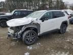 2023 TOYOTA RAV4 ADVENTURE à vendre chez Copart MA - NORTH BOSTON