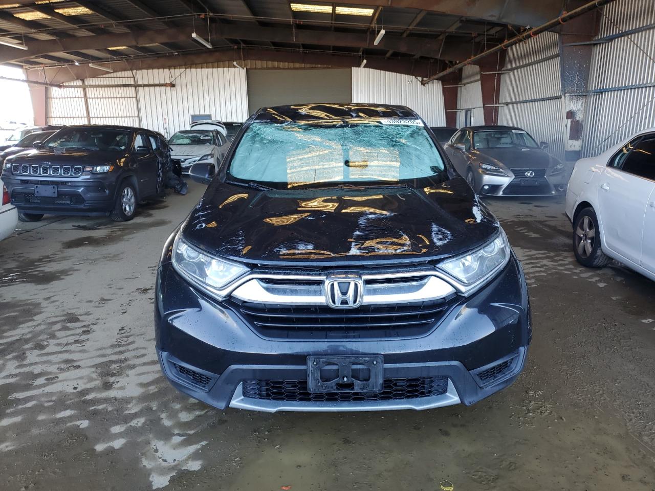 2019 Honda CR-V - Image 5