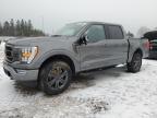 2023 FORD F150 SUPERCREW for sale at Copart ON - TORONTO