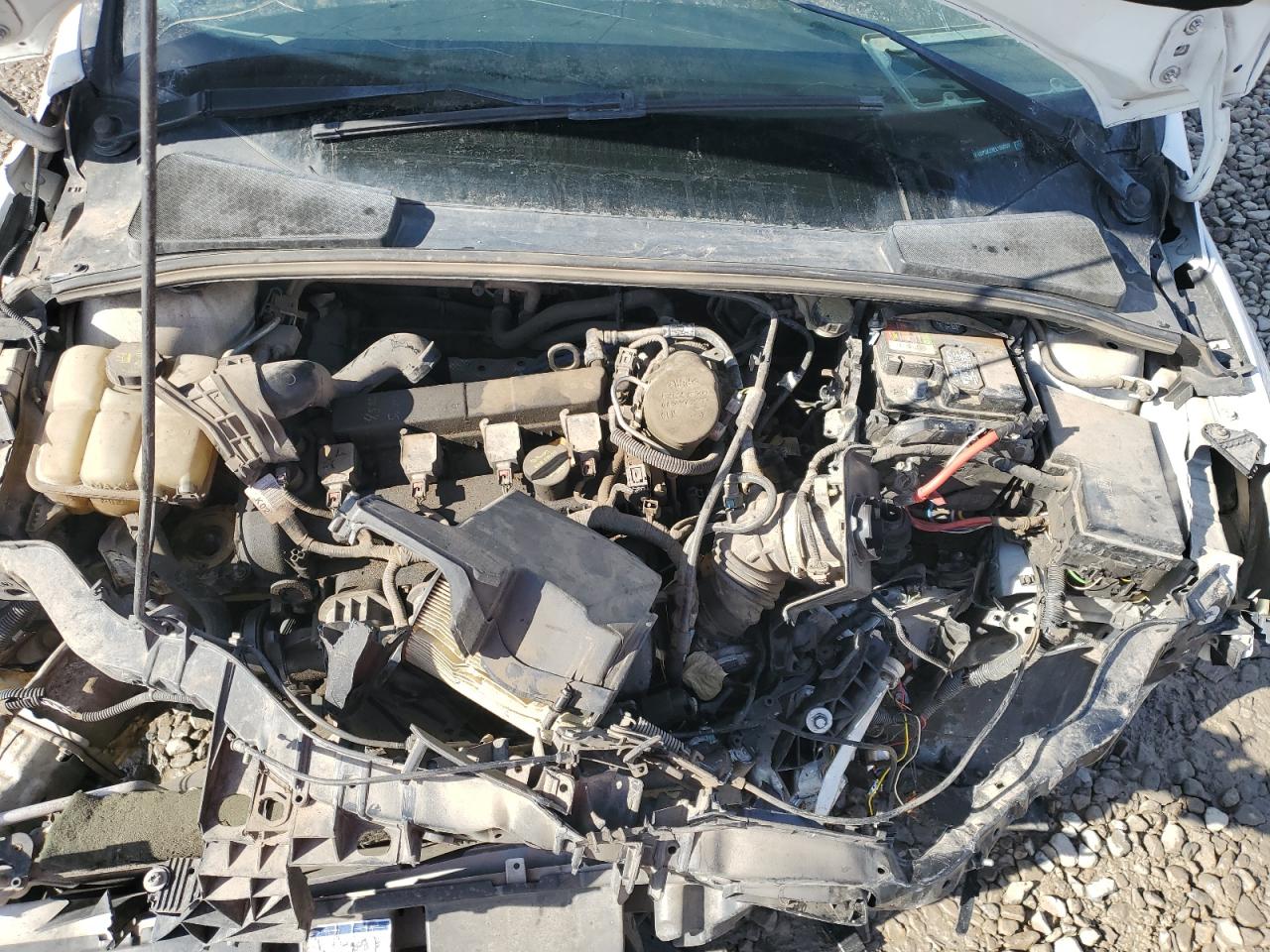 2014 Ford Focus Se VIN: 1FADP3K23EL150953 Lot: 60337565