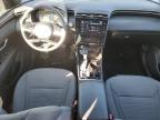 Theodore, AL에서 판매 중인 2024 Hyundai Santa Cruz Sel - Rear End