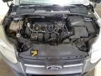 2014 Ford Focus Se for Sale in Blaine, MN - Rear End