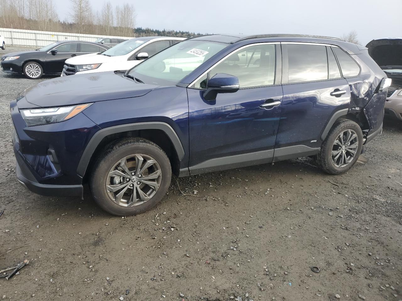 2023 Toyota RAV 4 - Image 1