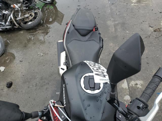  KAWASAKI ER500 2024 Два тони