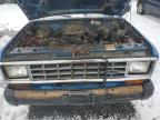 1985 Ford Bronco Ii  for Sale in Eugene, OR - All Over
