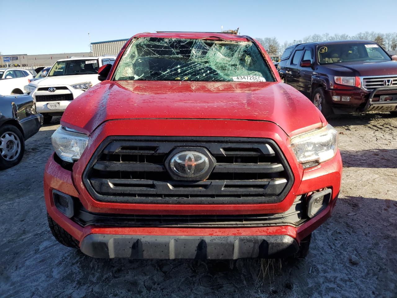 2019 Toyota Tacoma - Image 5