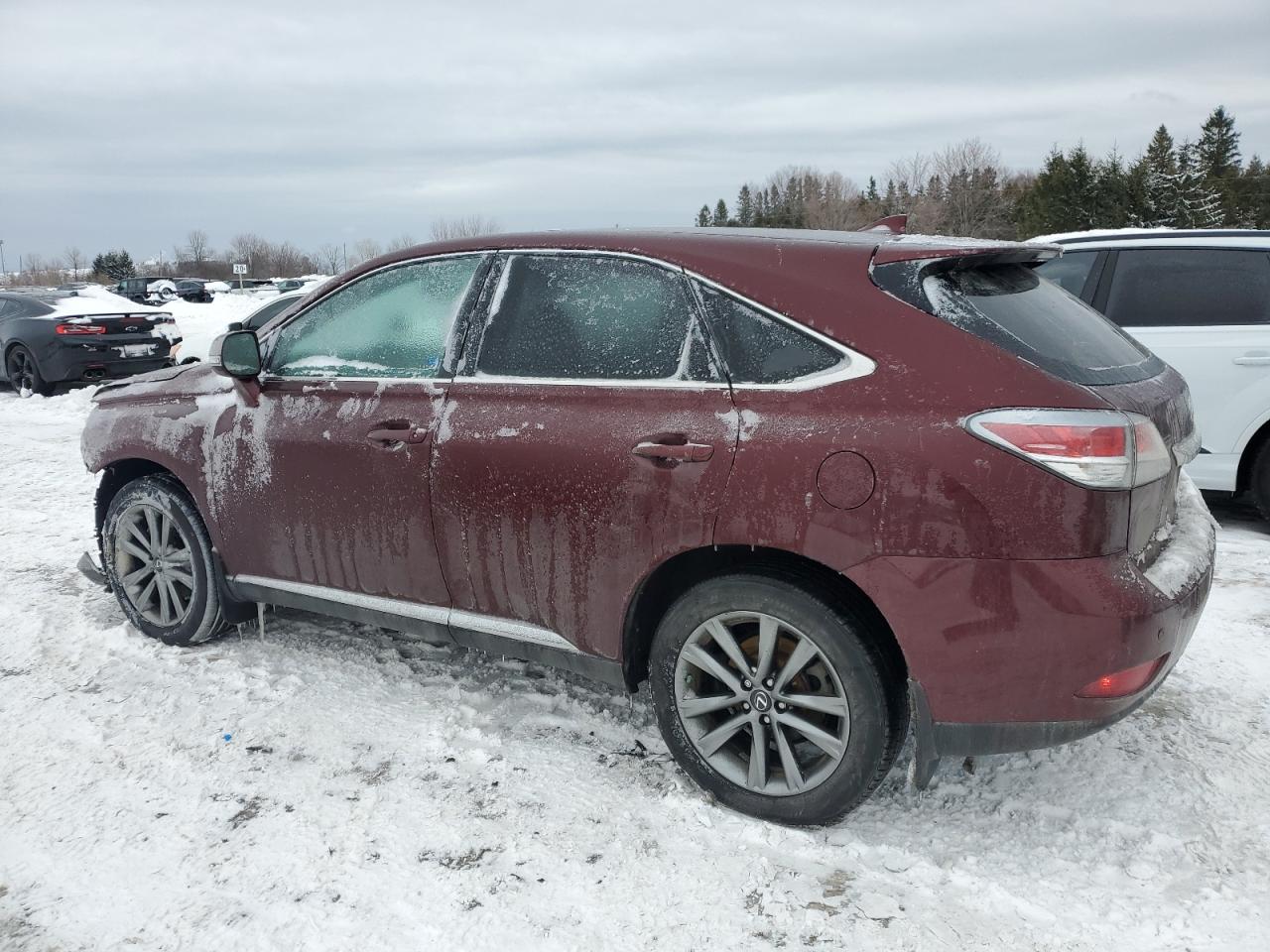 2015 Lexus RX - Image 2
