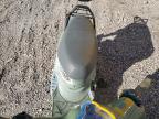 2009 GENUINE SCOOTER CO. BUDDY 150 for sale at Copart AL - BIRMINGHAM