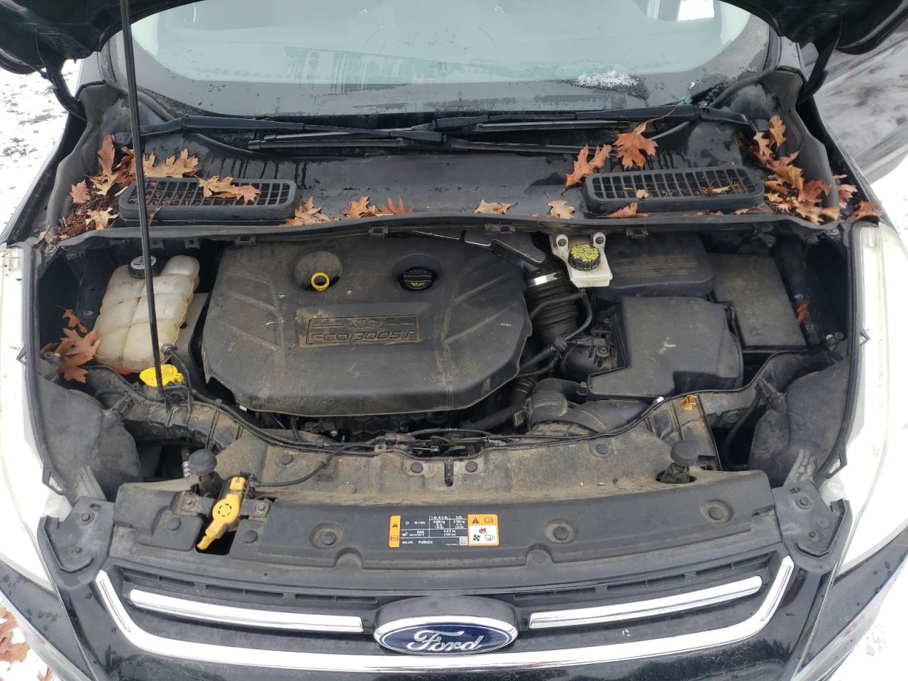 2013 Ford Escape - Image 12