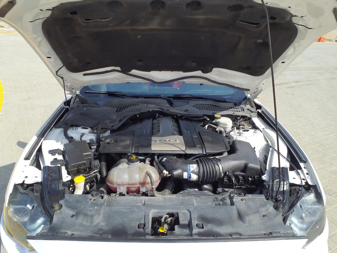 1FA6P8CF2L5182222 - 2020 Ford Mustang - #46197145