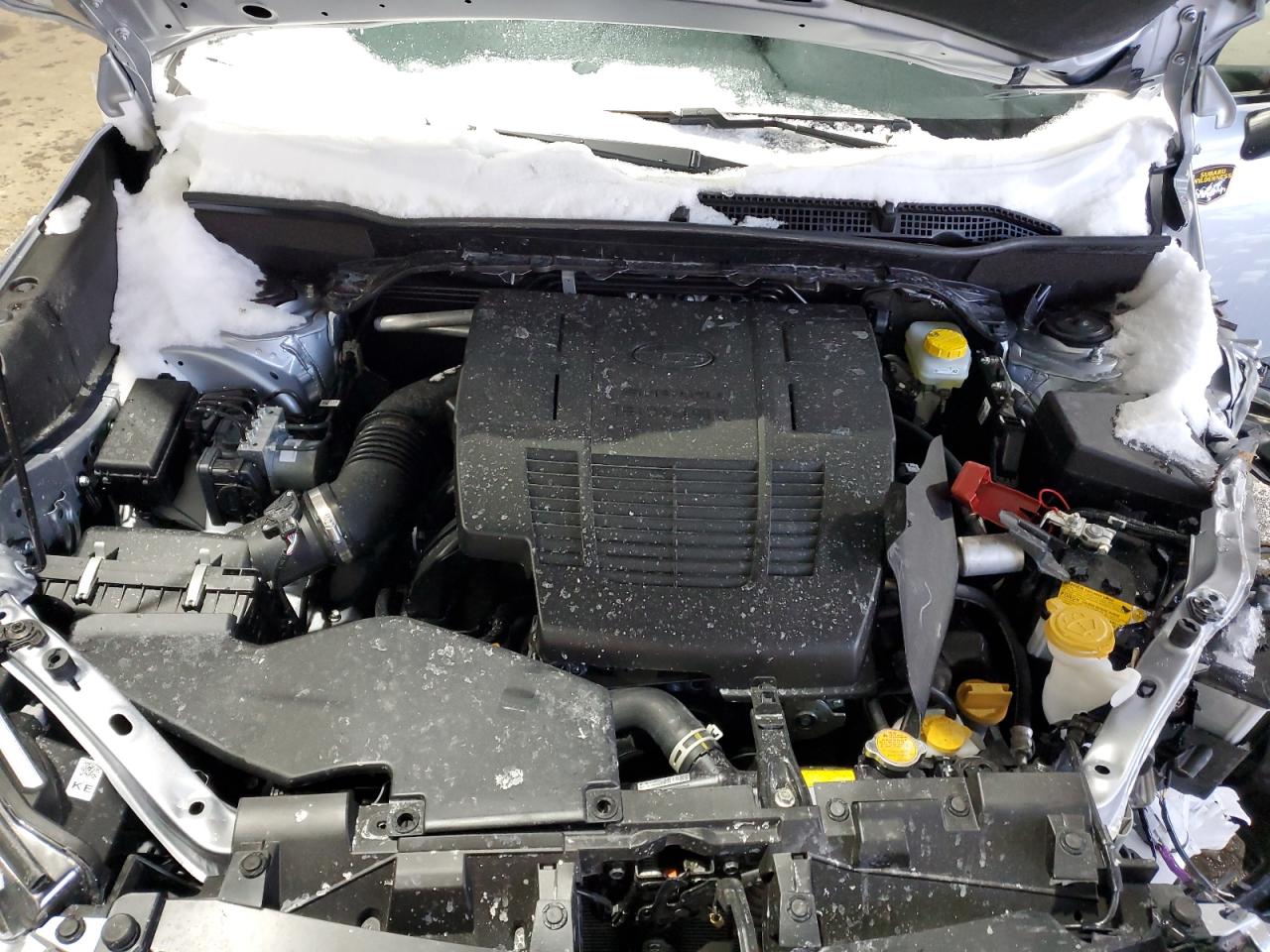 2024 Subaru Forester - Image 14