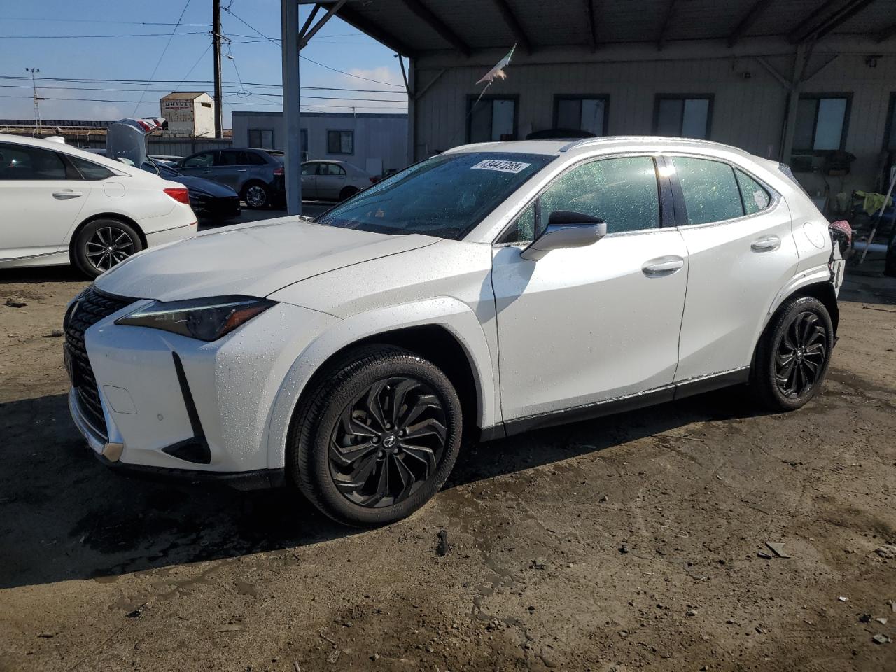 2024 Lexus UX - Image 1
