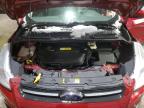 Candia, NH에서 판매 중인 2013 Ford Escape Se - Rear End