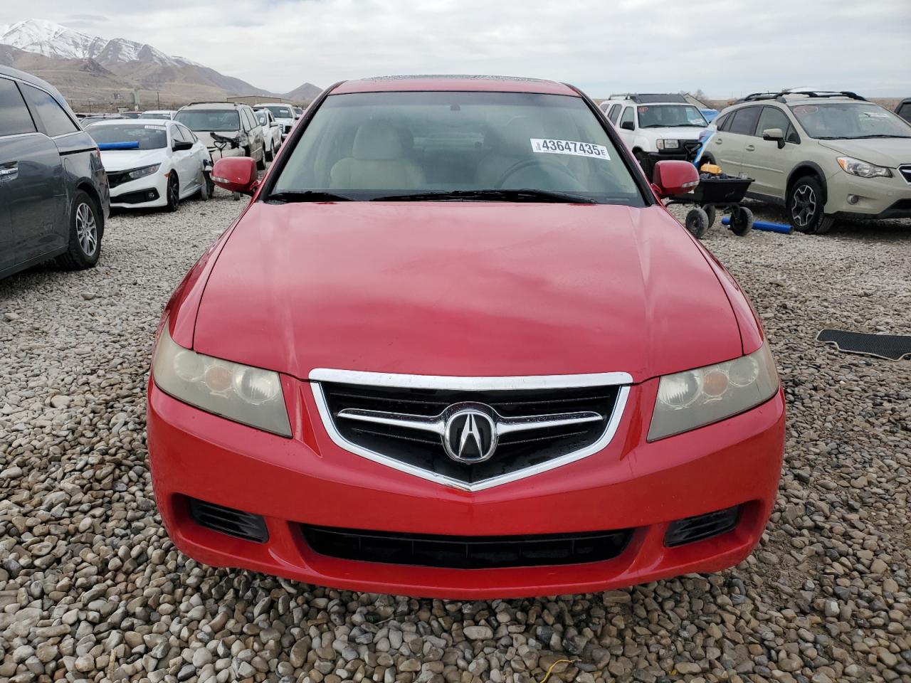 2005 Acura TSX - Image 5