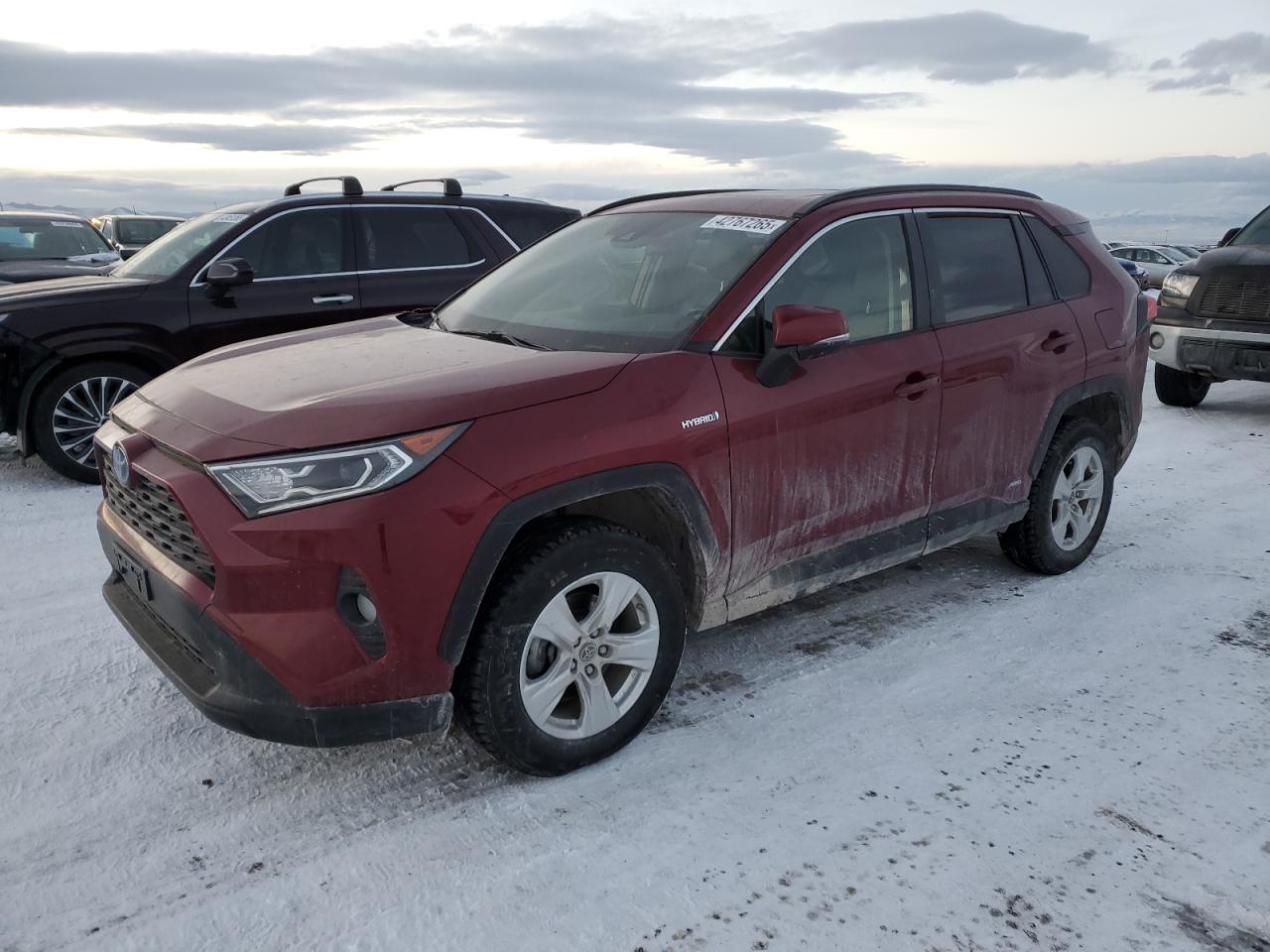 2019 Toyota RAV 4 - Image 1