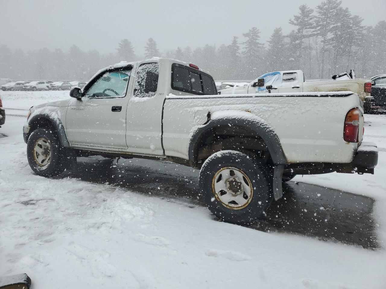 2001 Toyota Tacoma - Image 2