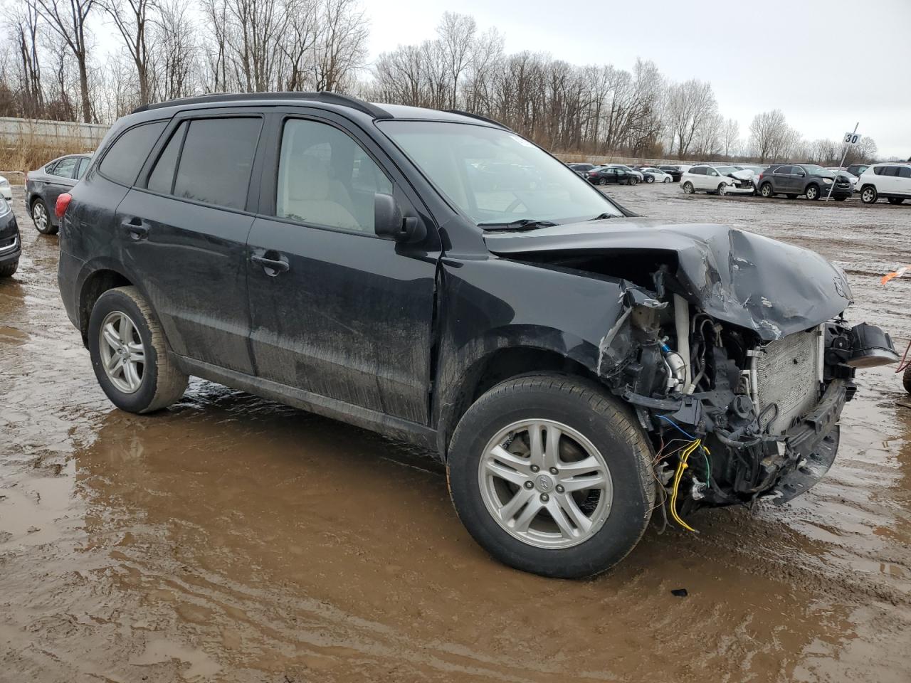 2010 Hyundai Santa Fe - Image 4