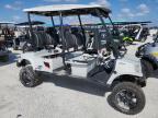 2021 Tomb Golf Cart na sprzedaż w Arcadia, FL - Water/Flood
