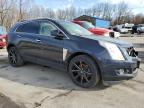 Rogersville, MO에서 판매 중인 2014 Cadillac Srx Performance Collection - All Over
