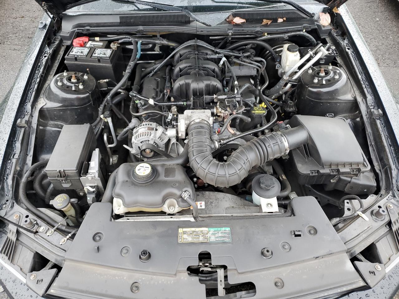 2009 Ford Mustang - Image 11