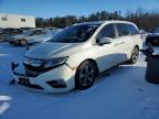 2019 HONDA ODYSSEY EXL for sale at Copart ON - COOKSTOWN