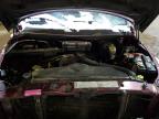2001 Dodge Ram 1500  for Sale in Candia, NH - Rear End
